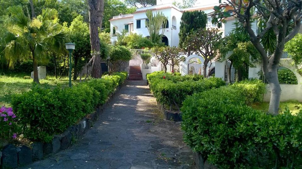 Villa Iscla Maison D'Hotes Isquia Exterior foto
